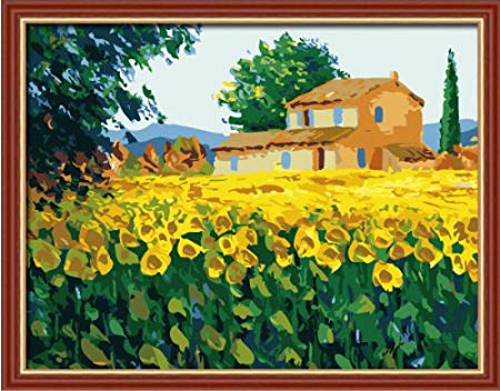 Colour Talk Diy oil painting, paint by number kit- Sunflower home 1620 inch.