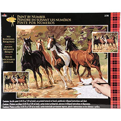 Plaid Creates Paint by Number Kit (16 by 20-Inch), 21798 Home Run Art