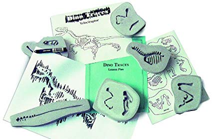 Skullduggery Hands On Classroom Science Kit, Dino Traces Triceratops