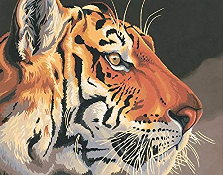 Colour Talk Diy oil painting, paint by number kit - Tiger animal 1620 inch.